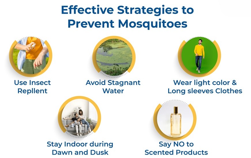 Should We Abate Mosquitoes? Let me know at bbrubaker@roundlakeil.gov